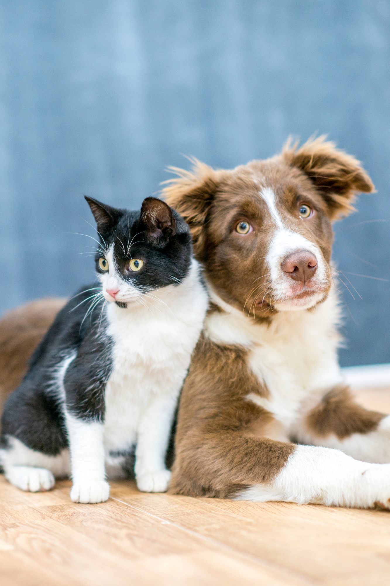 Design sem nome – 2025-06-24T151626.297 Design sem nome - 2025-06-24T151626.297